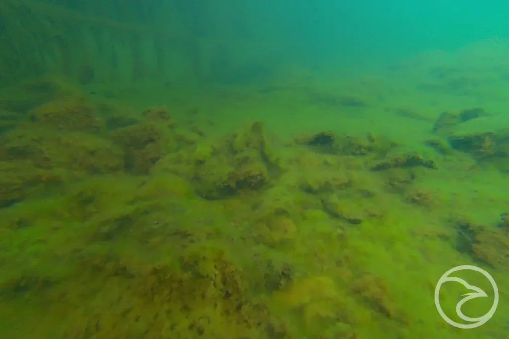 Industrial diving activity in contaminated water conditions